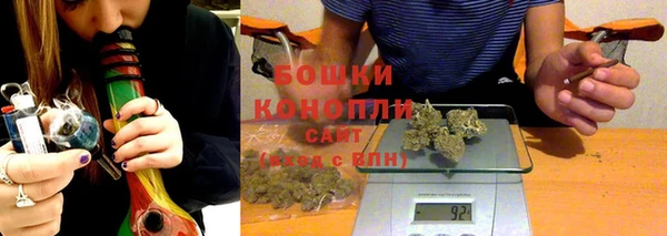 тгк Инта