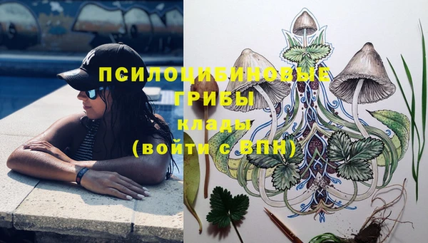 тгк Инта