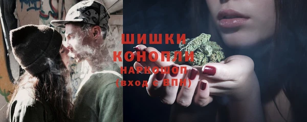 мяу мяу мука Инсар