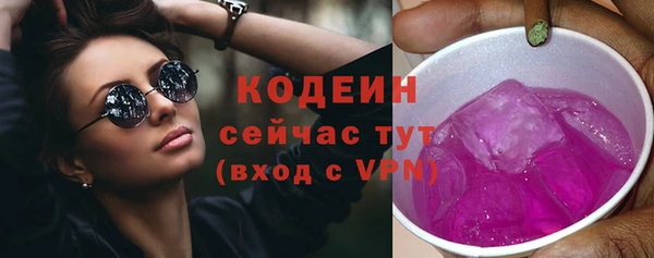 тгк Инта