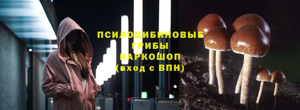 мяу мяу мука Инсар